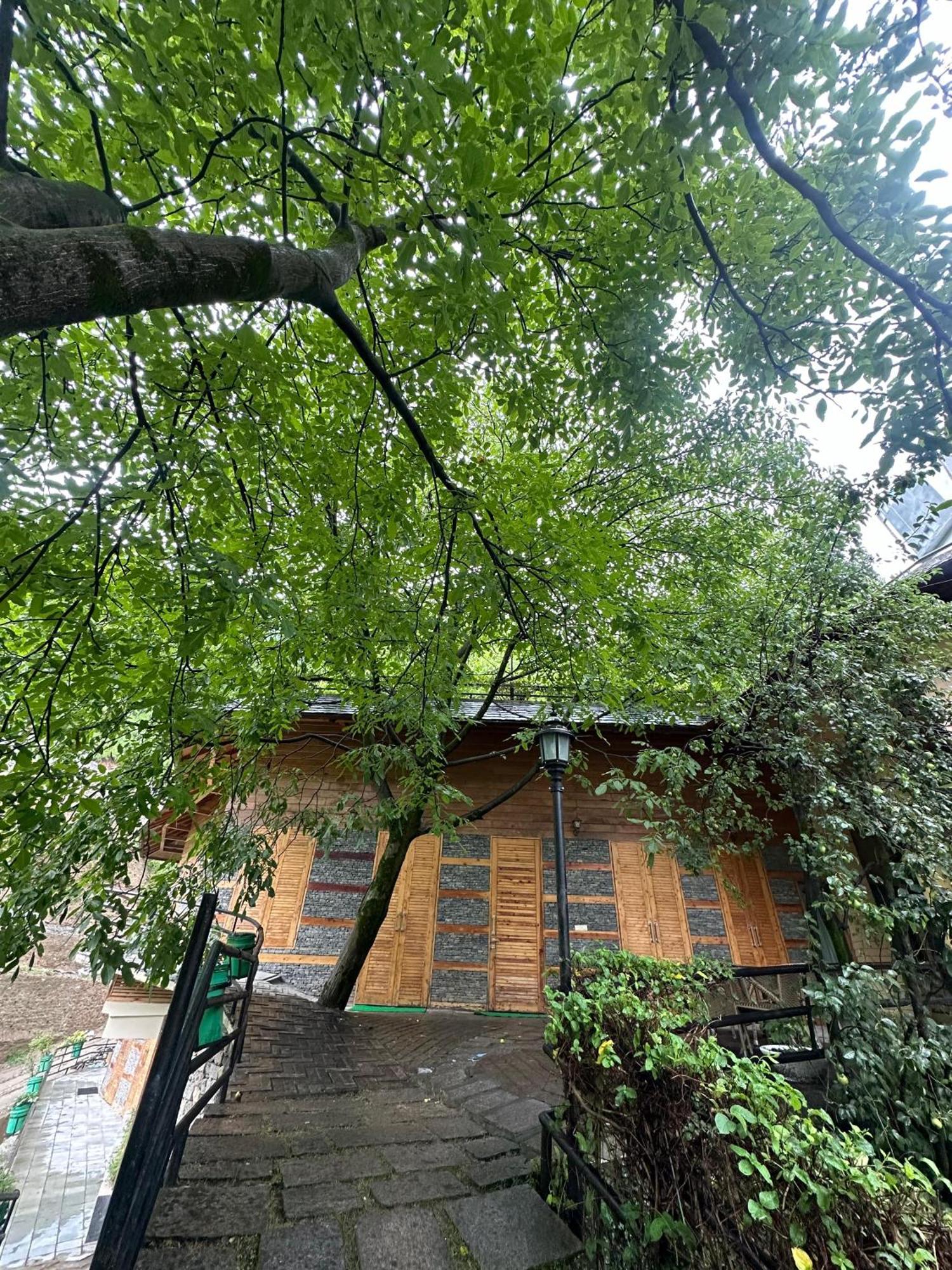 מנאלי Manuallaya The Resort & Spa מראה חיצוני תמונה